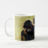 Kutest Baby Animals | Drie Chimpansees Hugging Koffiemok (Links)