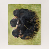Kutest Baby Animals | Drie Chimpansees Hugging Legpuzzel (Verticaal)