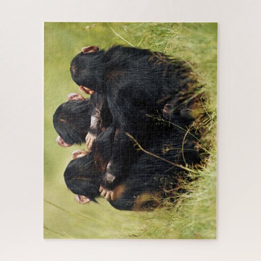 Kutest Baby Animals | Drie Chimpansees Hugging Legpuzzel (Verticaal)
