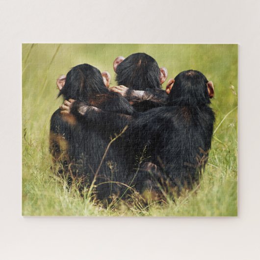 Kutest Baby Animals | Drie Chimpansees Hugging Legpuzzel (Horizontaal)