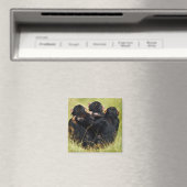 Kutest Baby Animals | Drie Chimpansees Hugging Magneet (Insitu (Vaatwasser))