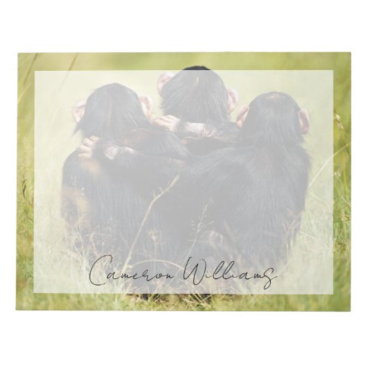 Kutest Baby Animals | Drie Chimpansees Hugging Notitieblok (Voorkant)