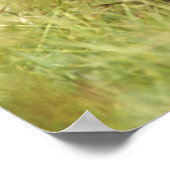 Kutest Baby Animals | Drie Chimpansees Hugging Poster (Hoek)