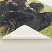 Kutest Baby Animals | Drie Chimpansees Hugging Sherpa Deken (3/4)