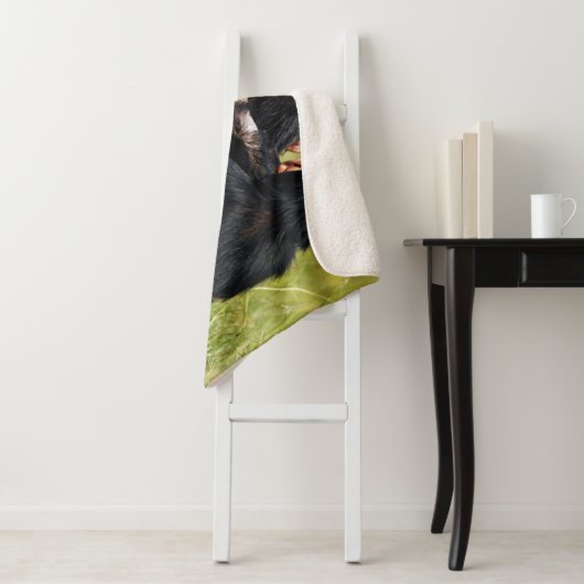 Kutest Baby Animals | Drie Chimpansees Hugging Sherpa Deken (In situ)