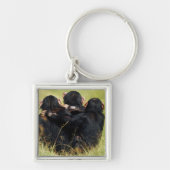 Kutest Baby Animals | Drie Chimpansees Hugging Sleutelhanger (Voorkant)