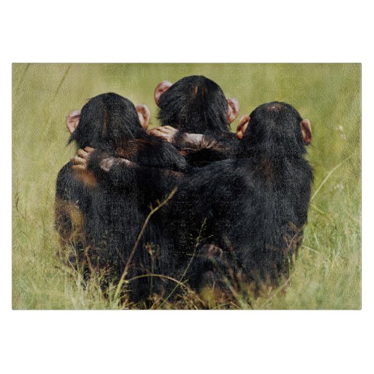 Kutest Baby Animals | Drie Chimpansees Hugging Snijplank (Voorkant)