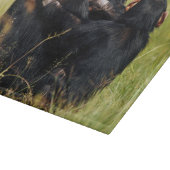 Kutest Baby Animals | Drie Chimpansees Hugging Snijplank (Hoek)