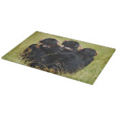 Kutest Baby Animals | Drie Chimpansees Hugging Snijplank (Hoek)