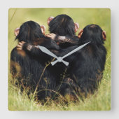 Kutest Baby Animals | Drie Chimpansees Hugging Vierkante Klok (Voorkant)
