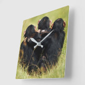 Kutest Baby Animals | Drie Chimpansees Hugging Vierkante Klok (Hoek)