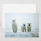 Kutest Baby Animals | Drie jonge Polar-Beren Bedankkaart (Voorkant / Achterkant)