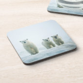 Kutest Baby Animals | Drie jonge Polar-Beren Bier Onderzetter (Linkerzijde)