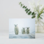 Kutest Baby Animals | Drie jonge Polar-Beren Briefkaart (Staand voorkant)