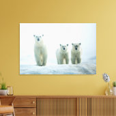 Kutest Baby Animals | Drie jonge Polar-Beren Canvas Afdruk (Insitu (Woonkamer))
