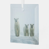 Kutest Baby Animals | Drie jonge Polar-Beren Glas Ornament (Voorkant links)