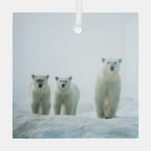 Kutest Baby Animals | Drie jonge Polar-Beren Glas Ornament (Achterkant)