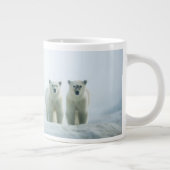 Kutest Baby Animals | Drie jonge Polar-Beren Grote Koffiekop (Rechts)
