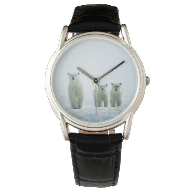 Kutest Baby Animals | Drie jonge Polar-Beren Horloge (Voorkant)