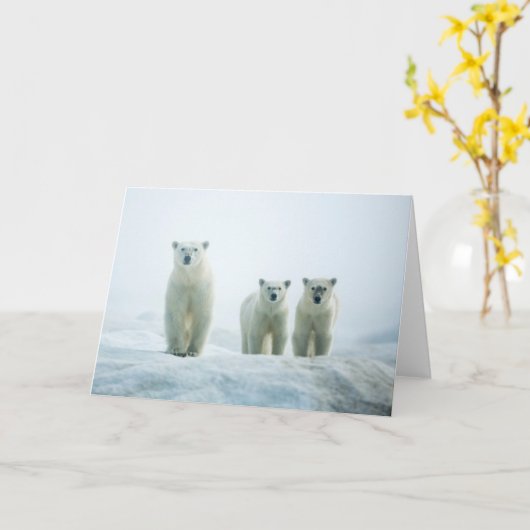 Kutest Baby Animals | Drie jonge Polar-Beren Kaart (Gele Bloem)
