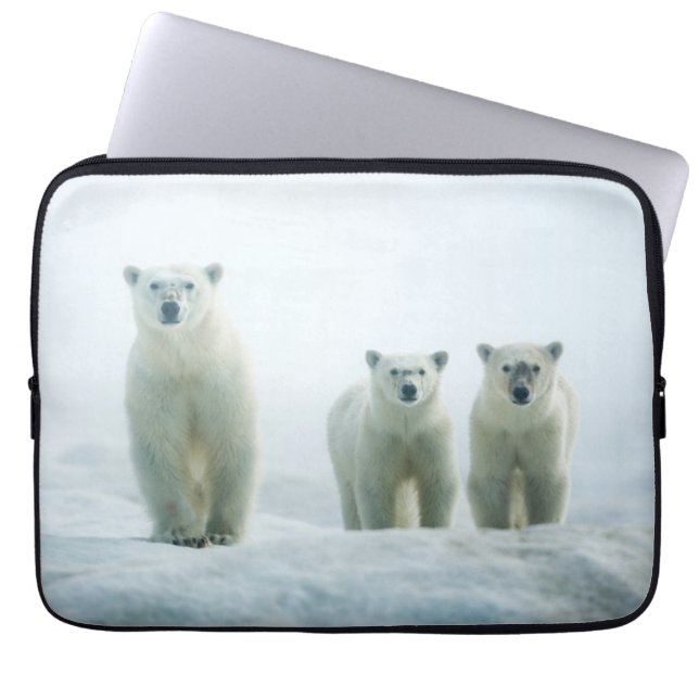 Kutest Baby Animals | Drie jonge Polar-Beren Laptop Sleeve (Voorkant)