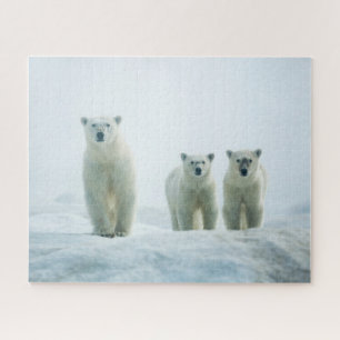 Kutest Baby Animals   Drie jonge Polar-Beren Legpuzzel
