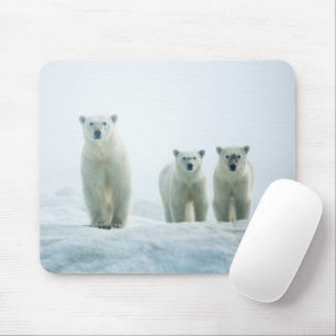 Kutest Baby Animals Drie jonge Polar-Beren Muismat