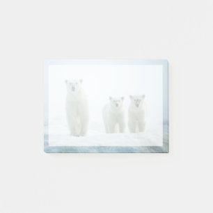 Kutest Baby Animals   Drie jonge Polar-Beren Post-it® Notes