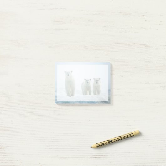 Kutest Baby Animals | Drie jonge Polar-Beren Post-it® Notes (Op bureau)