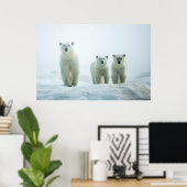 Kutest Baby Animals | Drie jonge Polar-Beren Poster (Thuiskantoor)
