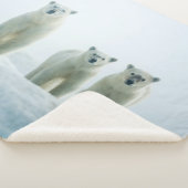 Kutest Baby Animals | Drie jonge Polar-Beren Sherpa Deken (3/4)