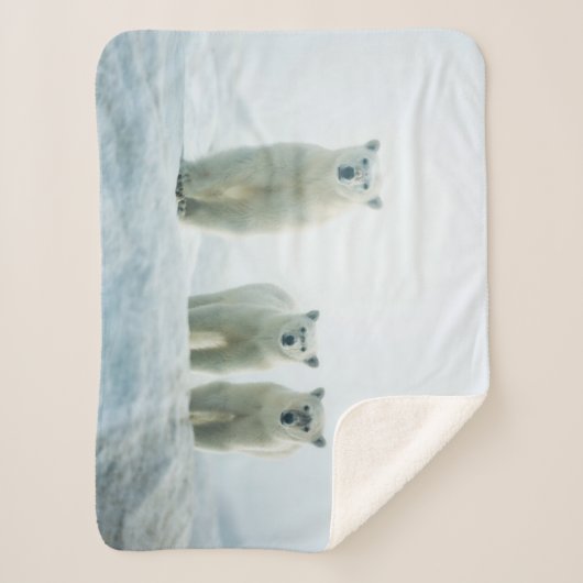 Kutest Baby Animals | Drie jonge Polar-Beren Sherpa Deken (Voorkant)