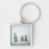 Kutest Baby Animals | Drie jonge Polar-Beren Sleutelhanger (Voorkant)