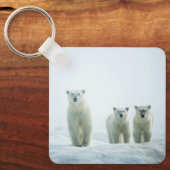 Kutest Baby Animals | Drie jonge Polar-Beren Sleutelhanger (Voorkant)