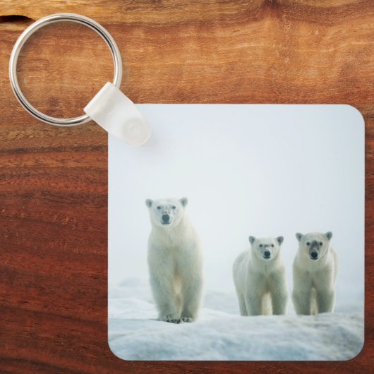 Kutest Baby Animals | Drie jonge Polar-Beren Sleutelhanger (Voorkant)