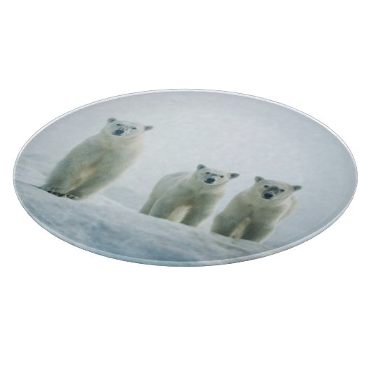 Kutest Baby Animals | Drie jonge Polar-Beren Snijplank (Hoek)