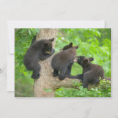 Kutest Baby Animals | Drie jonge zwarte Beren kubu Bedankkaart (Voorkant)