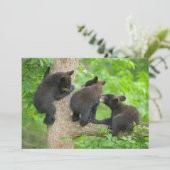 Kutest Baby Animals | Drie jonge zwarte Beren kubu Bedankkaart (Staand voorkant)