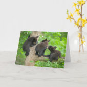 Kutest Baby Animals | Drie jonge zwarte Beren kubu Kaart (Gele Bloem)
