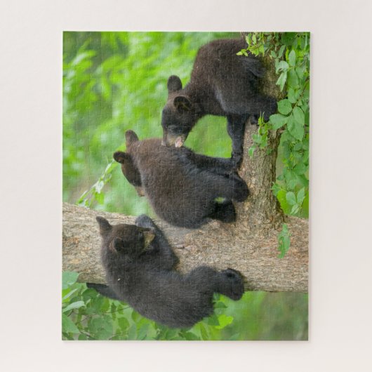 Kutest Baby Animals | Drie jonge zwarte Beren kubu Legpuzzel (Verticaal)