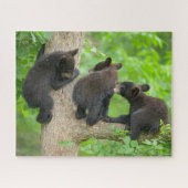 Kutest Baby Animals | Drie jonge zwarte Beren kubu Legpuzzel (Horizontaal)