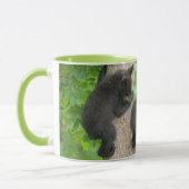 Kutest Baby Animals | Drie jonge zwarte Beren kubu Mok (Links)