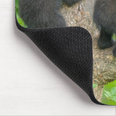 Kutest Baby Animals | Drie jonge zwarte Beren kubu Muismat (Hoek)