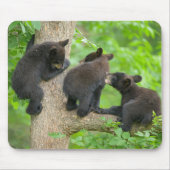 Kutest Baby Animals | Drie jonge zwarte Beren kubu Muismat (Voorkant)