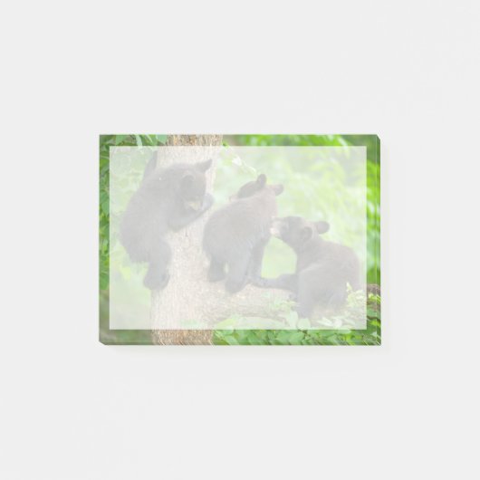 Kutest Baby Animals | Drie jonge zwarte Beren kubu Post-it® Notes (Voorkant)