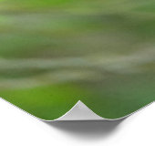 Kutest Baby Animals | Drie jonge zwarte Beren kubu Poster (Hoek)