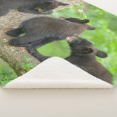 Kutest Baby Animals | Drie jonge zwarte Beren kubu Sherpa Deken (3/4)