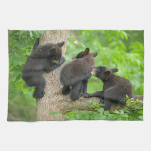 Kutest Baby Animals   Drie jonge zwarte Beren kubu Theedoek