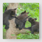 Kutest Baby Animals | Drie jonge zwarte Beren kubu Vierkante Klok (Voorkant)