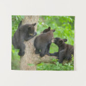 Kutest Baby Animals | Drie jonge zwarte Beren kubu Wandkleed (Voorkant (horizontaal))